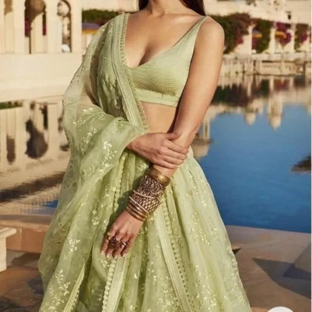 New boutique Sabyasachi inspired Lehenga Choli- Georgette Lehenga-blouse… - Picture 1 of 10